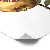 Poster Fruits Et Graines De Grenade Méditerranéenne Botan (Coin)