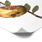 Poster Fruits Et Graines De Grenade Méditerranéenne Botan (Coin)