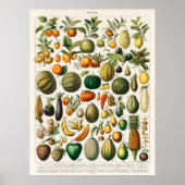 Poster Fruits et légumes (Devant)