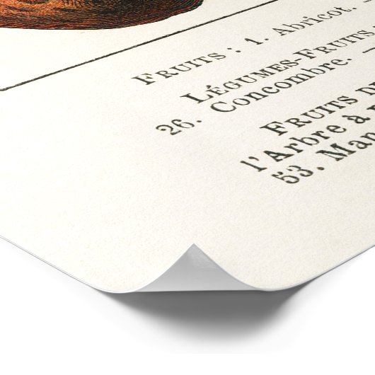 Poster Fruits et légumes (Coin)