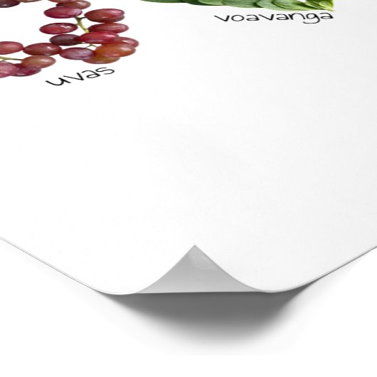 Poster Fruits et légumes de l'alphabet espagnol Mexique (Coin)