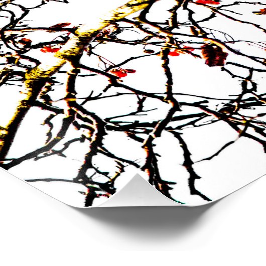 Poster Fruits rouges ou fraises (Coin)