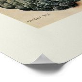 Poster Fruits tropicaux (Coin)