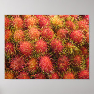 Poster Fruits tropicaux Rambutan
