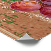 Poster Fruits tropicaux salants (Coin)