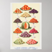 Poster Fruits vintages (Devant)