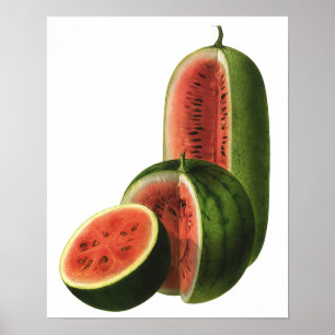 Poster Fruits vintages de pastèques, Grands ronds, Alimen