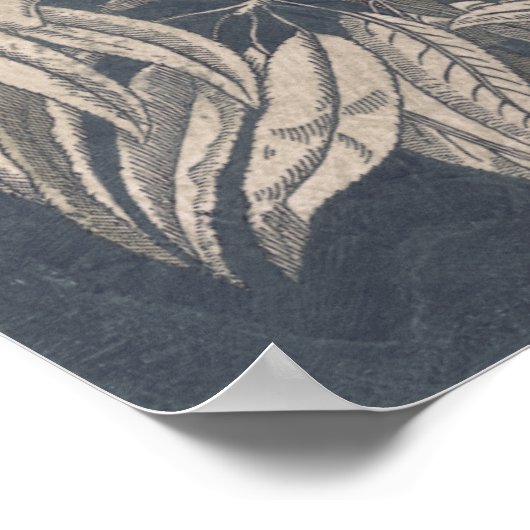 Poster Fruits vintages et fleurs I (Coin)