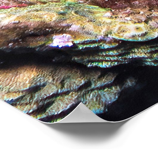 Poster Frumpy Stonefish (Coin)