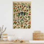 Poster Fruta Adolphe Millot Le Larousse Pour Tous (Cuisine)