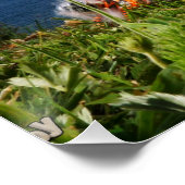 Poster Fubby est actif dans le jeu de cannes. (Coin)