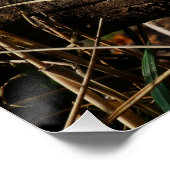 Poster Fubby qui est amoureux. (Coin)