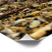 Poster Fubby qui sort son chien. (Coin)