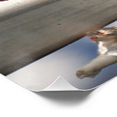 Poster Fubby sur la flèche dans l'affiche de Manhatten. (Coin)