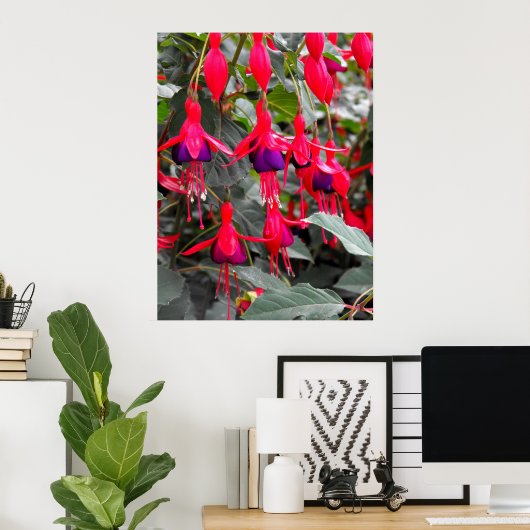 Poster Fuchsia (Bureau à domicile)