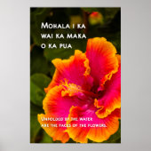 Poster Fuchsia hawaïenne et Hibiscus orange (Devant)