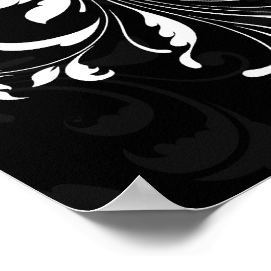 Poster Fuchsia Scroll Gerbera Daisy avec noir et blanc (Coin)