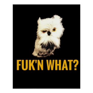 Poster Fuk'n Quoi ?