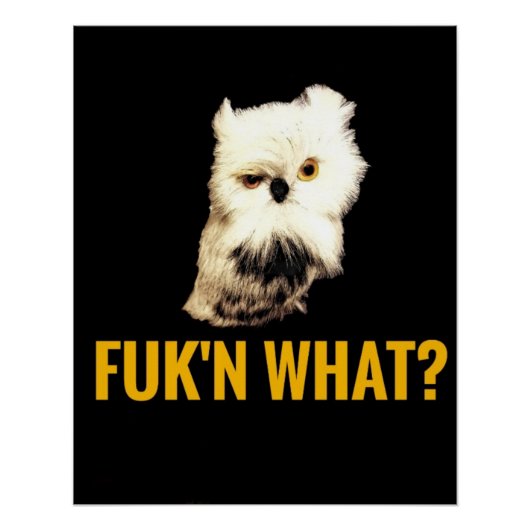 Poster Fuk'n Quoi ? (Devant)