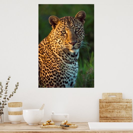 Poster Full-Grown Cub (Cuisine)