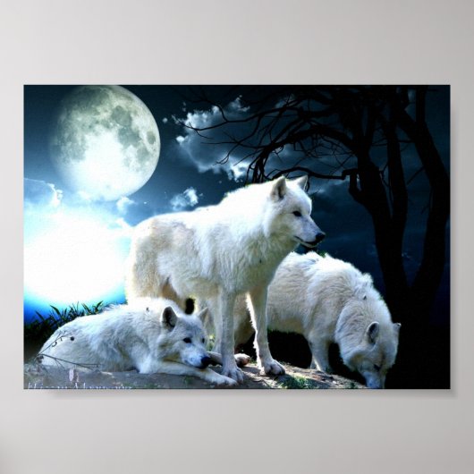 Poster Full Wolf Moon (Devant)