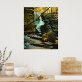 Poster Fulmer Falls (Cuisine)