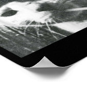 Poster Fumer Chat Beanie Mème Grunge Aesthétique Drôle T (Coin)