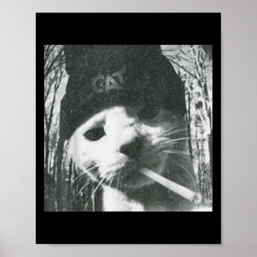 Poster Fumer Chat Beanie Mème Grunge Aesthétique Drôle T (Devant)