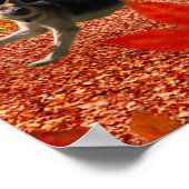 Poster FUN D'OSADA (Coin)