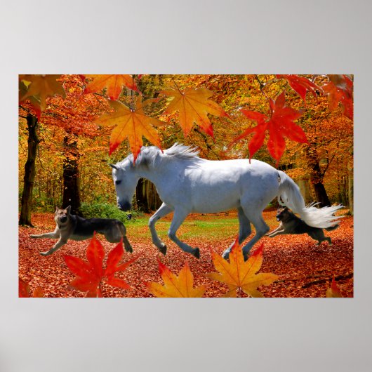 Poster FUN D'OSADA (Devant)