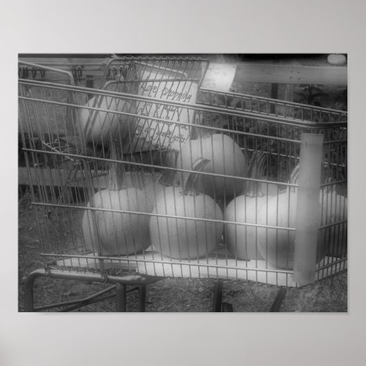 Poster Fun Fall Citrouilles Black White Photo Print (Devant)