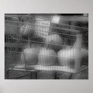Poster Fun Fall Pumpkins Black White Photo Print