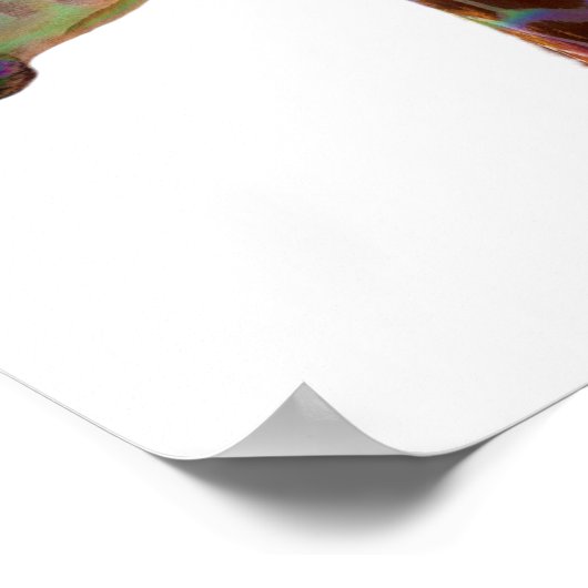 Poster Fun funky coloré Giraffe (Coin)