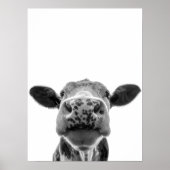 Poster Fun Moderne Vache Blanche Noire Russe Ferme (Devant)