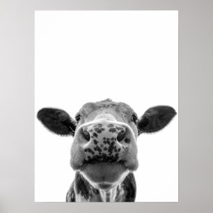 Poster Fun Moderne Vache Blanche Noire Russe Ferme