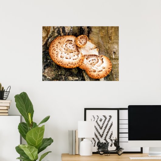 POSTER FUNGI (Bureau à domicile)