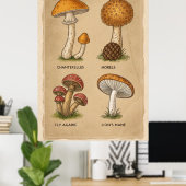 Poster Fungi Chronicles : Une étude mycologique antique (Bureau à domicile)