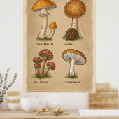 Poster Fungi Chronicles : Une étude mycologique antique (Cuisine)