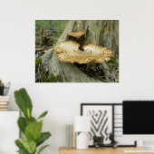 Poster Fungus de l'étagère sur la souche d'arbre (Bureau à domicile)