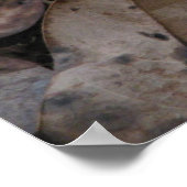 Poster Fungus du chou-fleur (Coin)