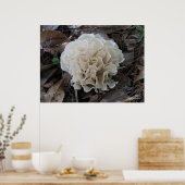 Poster Fungus du chou-fleur (Cuisine)