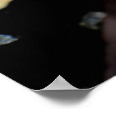 Poster Fungus d'une succursale (Coin)