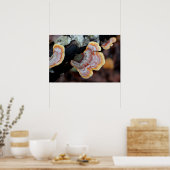 Poster Fungus d'une succursale (Cuisine)