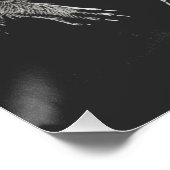 Poster Funky Black and White Space Raccoon UFO (Coin)