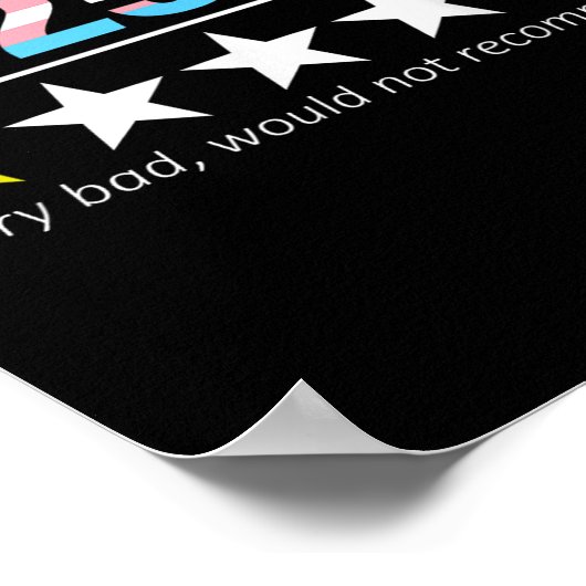 Poster Funny 2025 Very Bad Would Not Recommend (Coin)