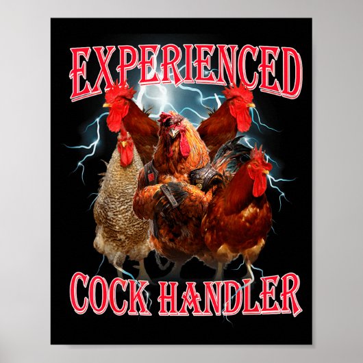 Poster Funny Adult Humor Experienced Handler Inappropriat (Devant)