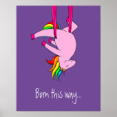 Poster Funny Aerial Silks Unicorn Né ainsi (Devant)