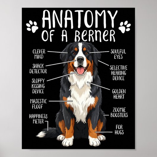 Poster Funny Anatomy Bernese Mountain Dog Cute Berner Lov (Devant)