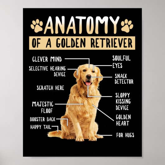 Poster Funny Anatomy Golden Retriever Amoureux des chiens (Devant)