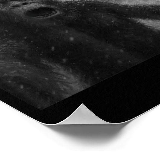 Poster Funny Bigfoot Sasquatch Selfie Santa Claus Xmas Ch (Coin)